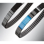 Timing belts